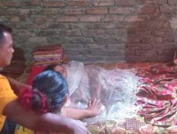 Kronologi Bocah 9 Tahun Kesetrum Kulkas di Pesisir Selatan hingga Meninggal Dunia