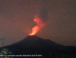 Gunung Lewotobi Laki-laki 31 Kali Erupsi, Tiga Bandara di NTT Lumpuh!