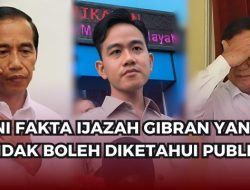 Ijazah Gibran Diragukan, Pakar Pendidikan Internasional Bongkar Fakta Mengejutkan!