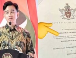 Alumni MDIS Dian Hunafa Diduga Berbohong soal Riwayat Kuliah Gibran