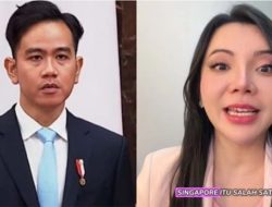 Bongkar Penampakan Ijazah Gibran dengan Alumni MDIS Singapura, Apakah Sama?