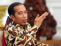 Jokowi Ungkap Kronologi Jadi Dewan Penasihat Global Bloomberg New Economy
