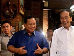 Efriza: Jokowi Minta Perlindungan Prabowo