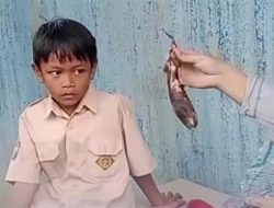 Viral Siswa SD di Gowa Bawa Bekal Ubi Bakar karena Tak Punya Uang Jajan