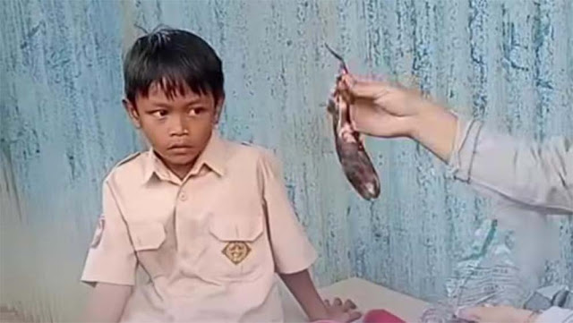 Viral Siswa SD di Gowa Bawa Bekal Ubi Bakar karena Tak Punya Uang Jajan