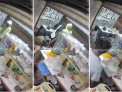Warkop Tanah Abang Diserang Geng Motor Bersenjata, Pemilik dan Karyawan Ditembak