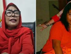 Diana Murni Payapo, Pendukung Jokowi yang Ajak Demo Pakai Baju Dalam
