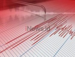 Gempa M 5,2 Guncang Kepulauan Tanimbar Maluku Hari Ini, Begini Kondisi Terkini
