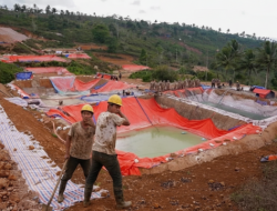 3 Kg Emas Sehari Dicuri! Penambang Ilegal di Sirkuit Mandalika Ternyata WNA, Siapa Dalangnya?