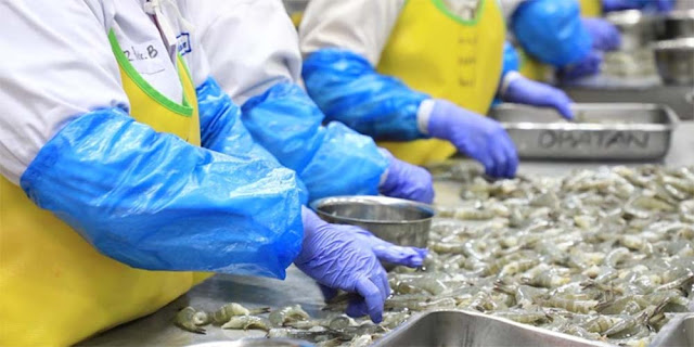 Kontainer Cesium-137 Bocor: Penyebab Udang Indonesia Diblacklist Amerika Serikat