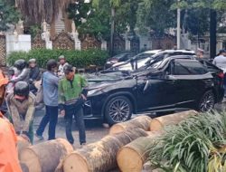 50 Tahun, Korban Tewas Tertimpa Pohon Tumbang di Tengah Hujan Deras