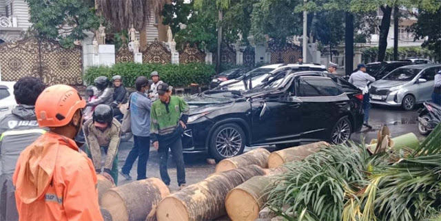 50 Tahun, Korban Tewas Tertimpa Pohon Tumbang di Tengah Hujan Deras