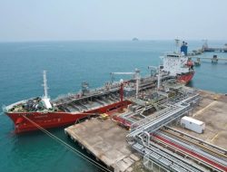 Pemegang Saham Mayoritas CDIA: Inilah Pengendali Utama dan Struktur Kepemilikan Terbaru 2025