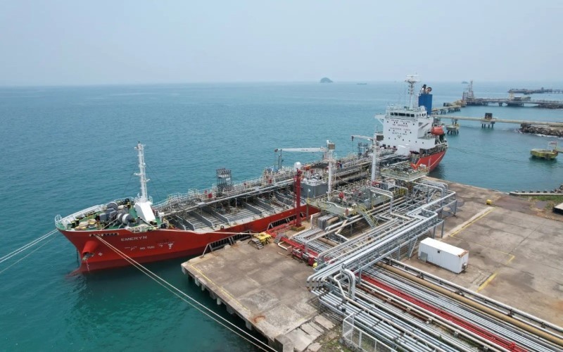 Pemegang Saham Mayoritas CDIA: Inilah Pengendali Utama dan Struktur Kepemilikan Terbaru 2025