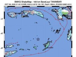 Gempa M 6,8 Guncang Tanimbar Maluku, Terasa hingga Papua: Ini Data dan Imbauan BMKG