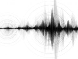 Gempa M 6,8 Guncang Maluku Tenggara Barat, BMKG: Tidak Berpotensi Tsunami