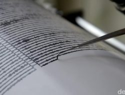 Gempa M 4.2 Guncang Jayapura, Ini Lokasi & Dampaknya Menurut BMKG