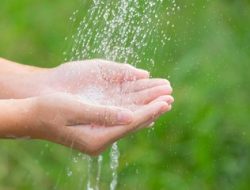 Krisis Air di Subang: Warga Terpaksa Minum Air Sawah, Pabrik AMDK Ditegur Gubernur