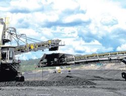 HRUM Saham: Pilar Utama Batu Bara & Nikel Indonesia, Ini Profil Lengkapnya