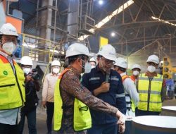 Guncangan Besar! PT Timah (TINS) Rombak Total Direksi, Eks Bos PGN & Inalum Ambil Alih Posisi Kunci