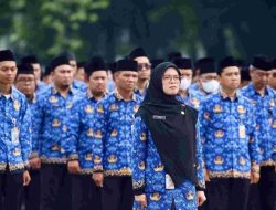 PPPK Berpeluang Jadi PNS? Ini Kata DPR Soal RUU ASN