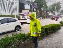 Banjir 35 CM Landa Kemang Jaksel, Pohon Tumbang Timpa Mobil di Dharmawangsa