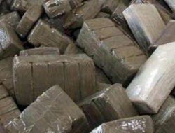 Spanyol & Maroko Gagalkan Penyelundupan 20 Ton Hashish yang Disembunyikan dalam Truk Paprika