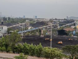 Laba Bersih PT Bukit Asam (PTBA) Anjlok 59%, Kok Bisa?