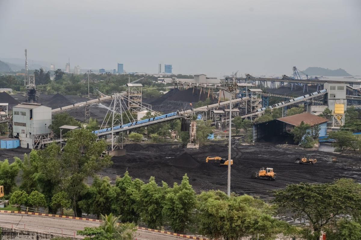 Laba Bersih PT Bukit Asam (PTBA) Anjlok 59%, Kok Bisa?