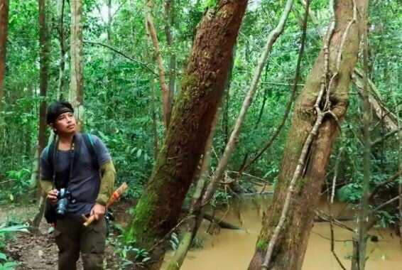 SVLK Jamin Kayu Indonesia 100% Legal & Lestari, Ini Penjelasan Kemenhut