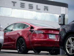 Cybercab Tesla Siap Debut di CIIE Shanghai, Pacu Pasar Robotaxi Asia-Pasifik