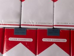 Saham GGRM, HMSP, dan WIIM Melonjak: Analisis Prospek dan Target Harga Terkini