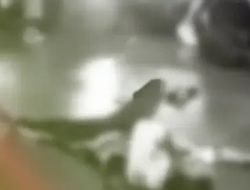 Tawuran di Sawangan Depok 2025: Kronologi, Korban, dan Pengejaran Pelaku