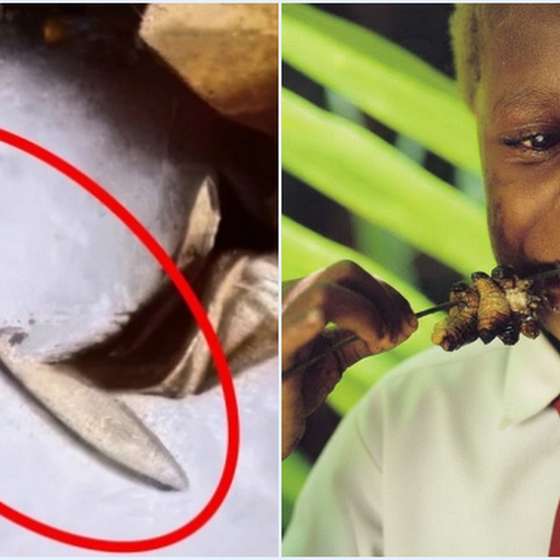 Ulat di Menu MBG Diklaim Tinggi Protein, Benarkah Aman Dikonsumsi?