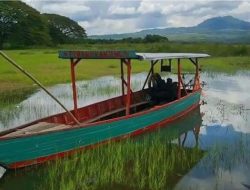 3 Tempat Wisata di Madiun yang Lagi Viral 2025: Destinasi Hits untuk Liburan