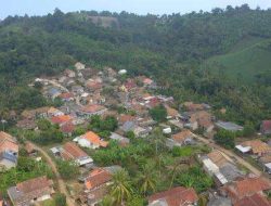 Program Transmigrasi 2024: Dapat Lahan 2 Hektare & Jaminan Hidup