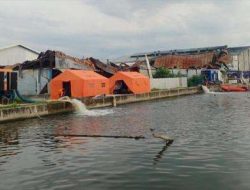 Banjir Semarang Surut, 13 Kelurahan di Genuk Masih Terendam