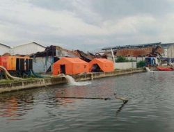 Banjir di Semarang Surut: Jalan Kaligawe Kembali Bisa Dilalui Kendaraan