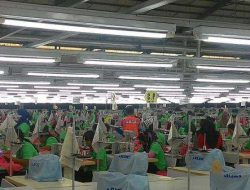 Revisi UU Ketenagakerjaan 2025: 7 Isu Krusial yang Diubah, dari Upah hingga Pesangon