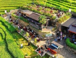 Wisata Kuliner Kulonprogo 2025: 3 Tempat Wajib Coba dengan Pemandangan Alam Memukau