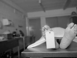 Kasus Dugaan Malapraktik RSUD Depati Hamzah: Berkas Dinyatakan P21, Dokter dr. Ratna Setia Asih Tersangka