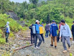 Jalan Trans Halmahera: Proyek untuk Rakyat atau Akses Tambang Nikel? Ini Dampaknya