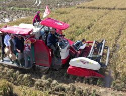 BULOG Panen Padi di Karawang: Produktivitas 7,2 Ton/Ha dengan Teknologi Drone & Smart Farming