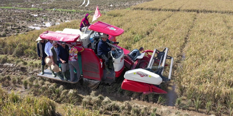 BULOG Panen Padi di Karawang: Produktivitas 7,2 Ton/Ha dengan Teknologi Drone & Smart Farming