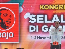 Projo Dukung Jokowi, Pengamat Sebut Ada Upaya Rongrong Kepemimpinan Prabowo