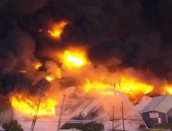 Kecelakaan UPS MD-11: Pesawat Kargo Jatuh & Meledak di Kentucky, Semua Kru Tewas