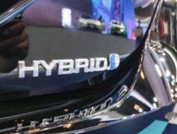 Insentif PPnBM DTP 3% Dongkrak Penjualan Mobil Hybrid, Toyota Capai 2.000 Unit/Bulan