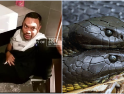 Klarifikasi Sahroni: Bantah Hoaks Black Mamba & Dampak Bully pada Anak