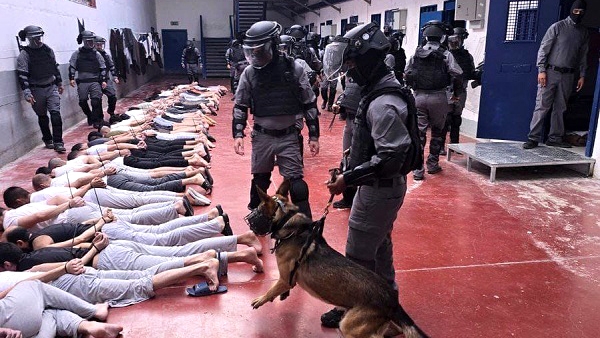 Laporan PCHR: Tahanan Palestina Diperkosa dengan Anjing, Bukti Kekerasan Seksual Sistematis Israel