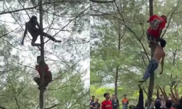 Viral! Pria Mabuk di Kebumen Tidur di Pohon, Akhirnya Dilempar ke Kolam Demi Disadarkan